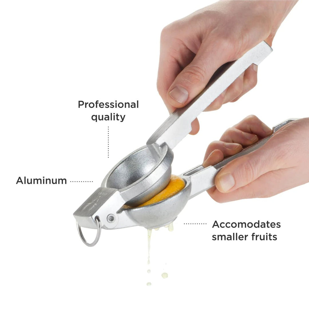 
                      
                        Viski Professional Silver Citrus Juicer - lily & onyx
                      
                    