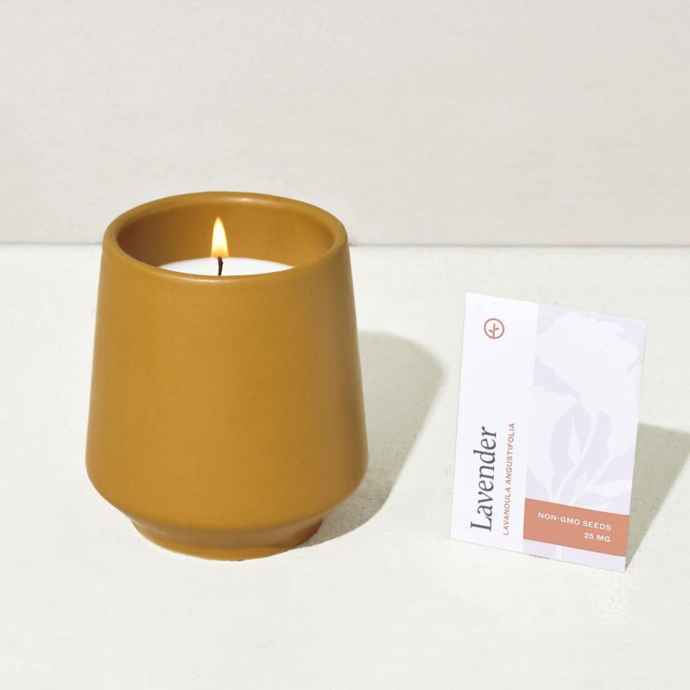 
                      
                        Modern Sprout Rooted Candles - lily & onyx
                      
                    