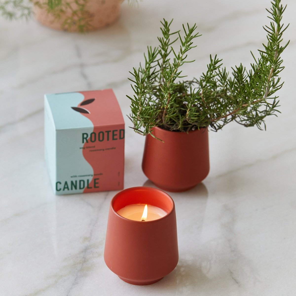 Modern Sprout Rooted Candles - lily & onyx