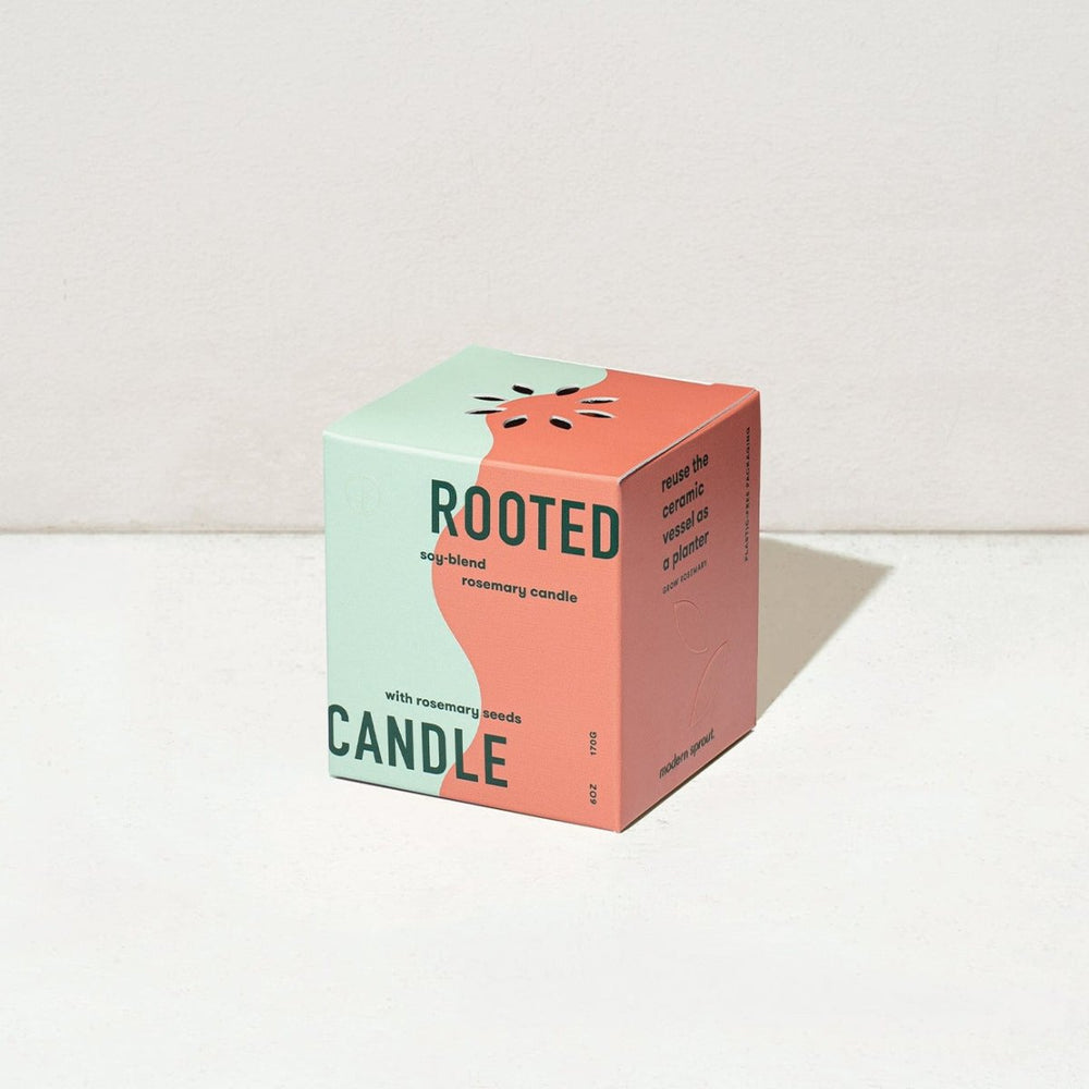 
                      
                        Modern Sprout Rooted Candles - lily & onyx
                      
                    