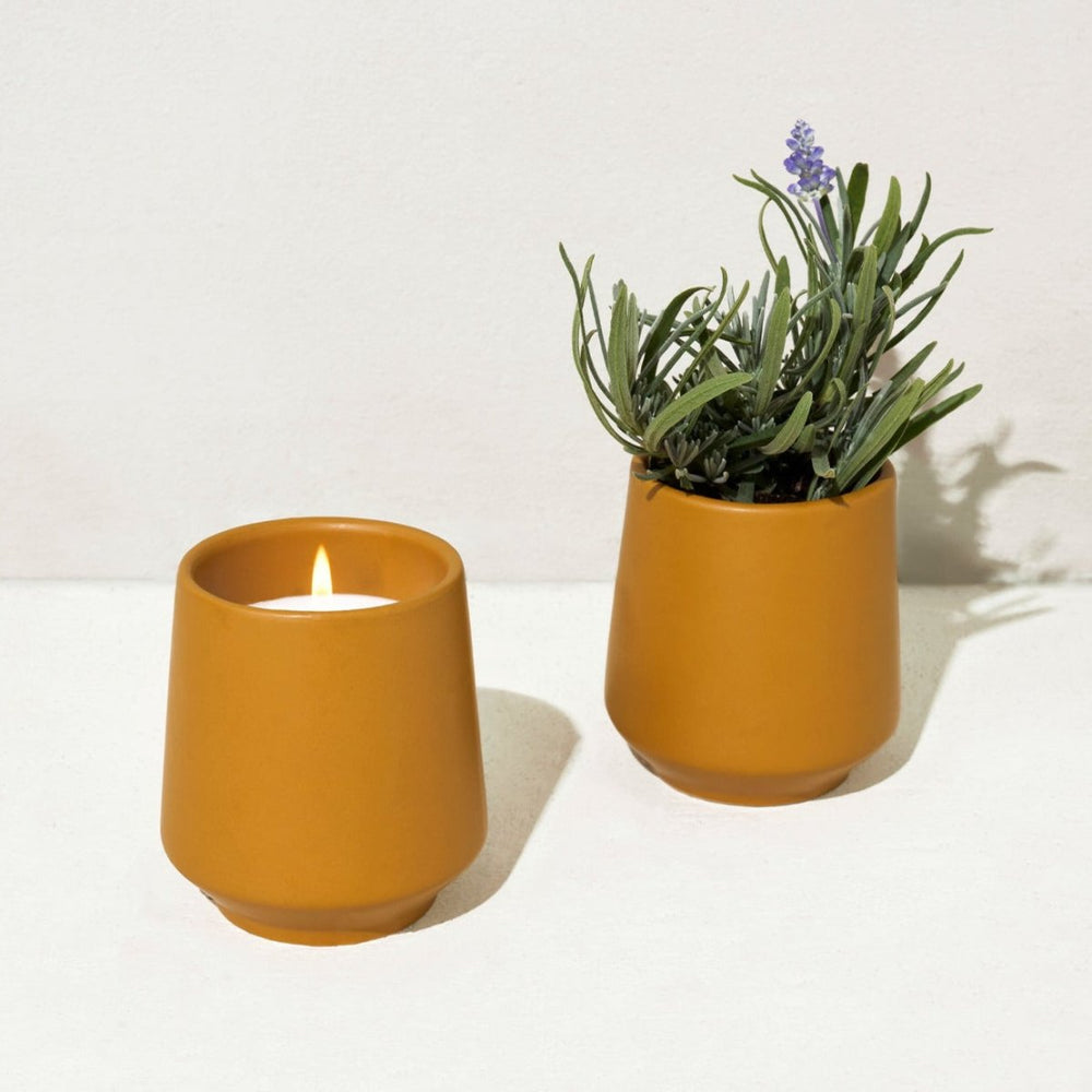 
                      
                        Modern Sprout Rooted Candles - lily & onyx
                      
                    