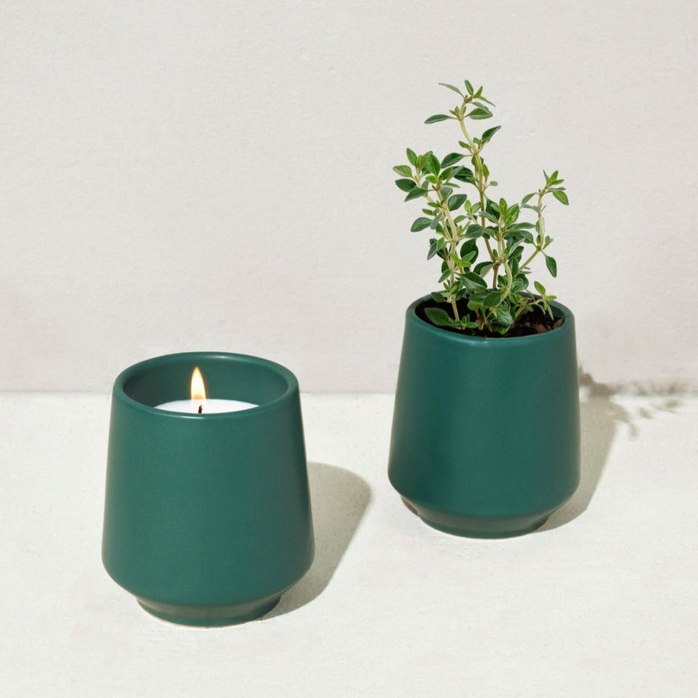 
                      
                        Modern Sprout Rooted Candles - lily & onyx
                      
                    