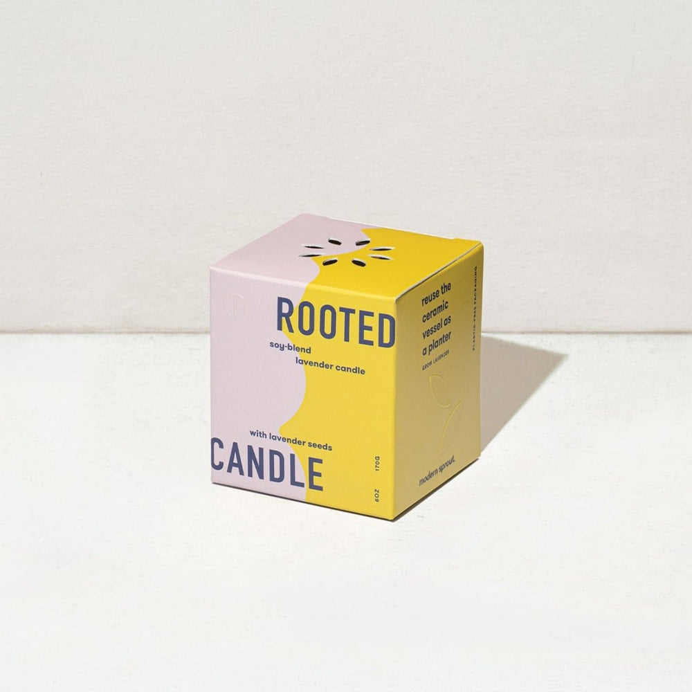 
                      
                        Modern Sprout Rooted Candles - lily & onyx
                      
                    