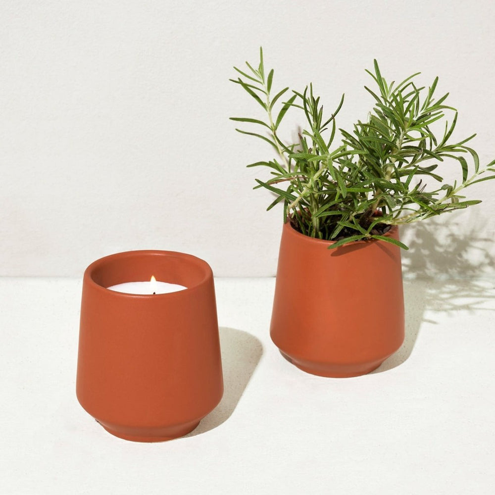 
                      
                        Modern Sprout Rooted Candles - lily & onyx
                      
                    