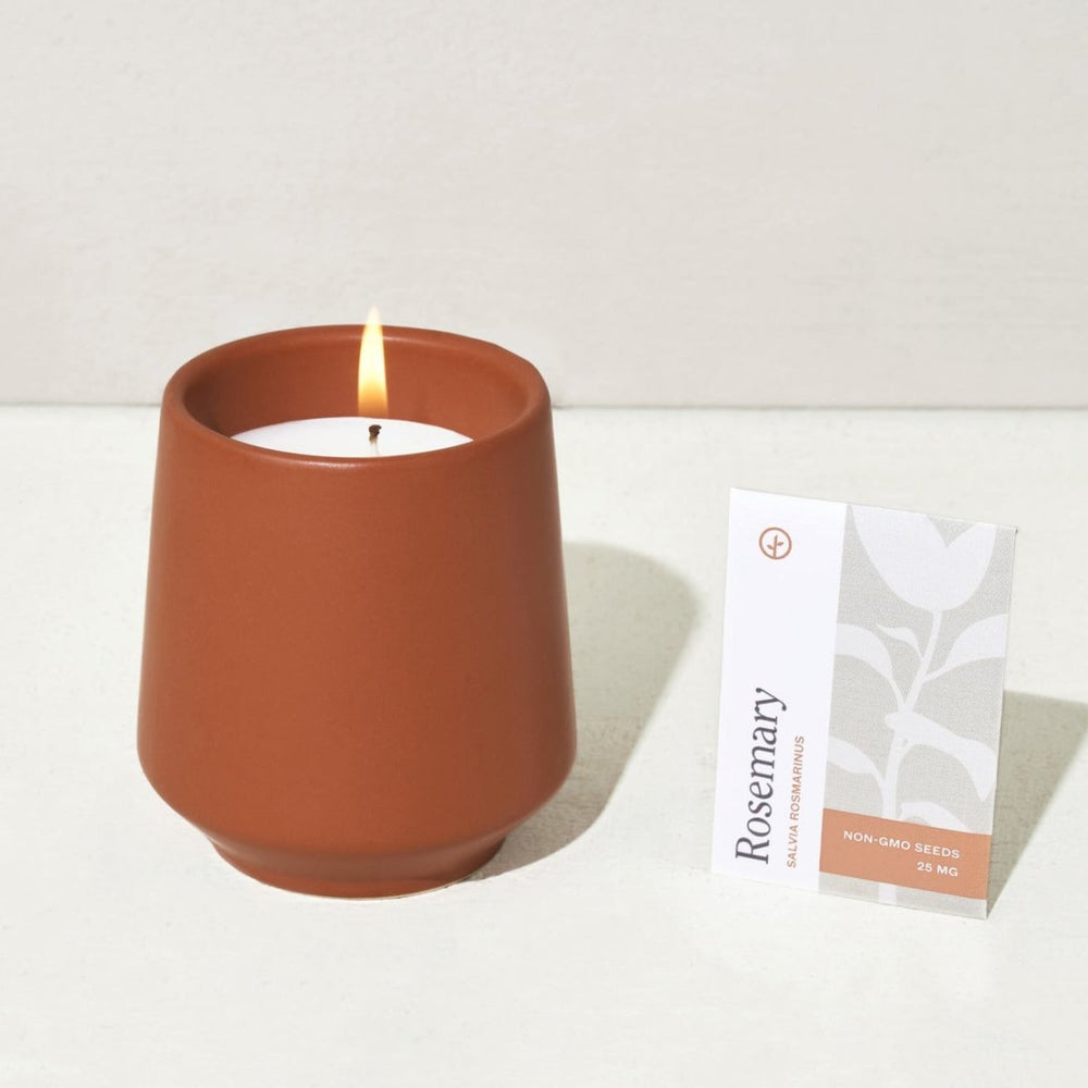 
                      
                        Modern Sprout Rooted Candles - lily & onyx
                      
                    