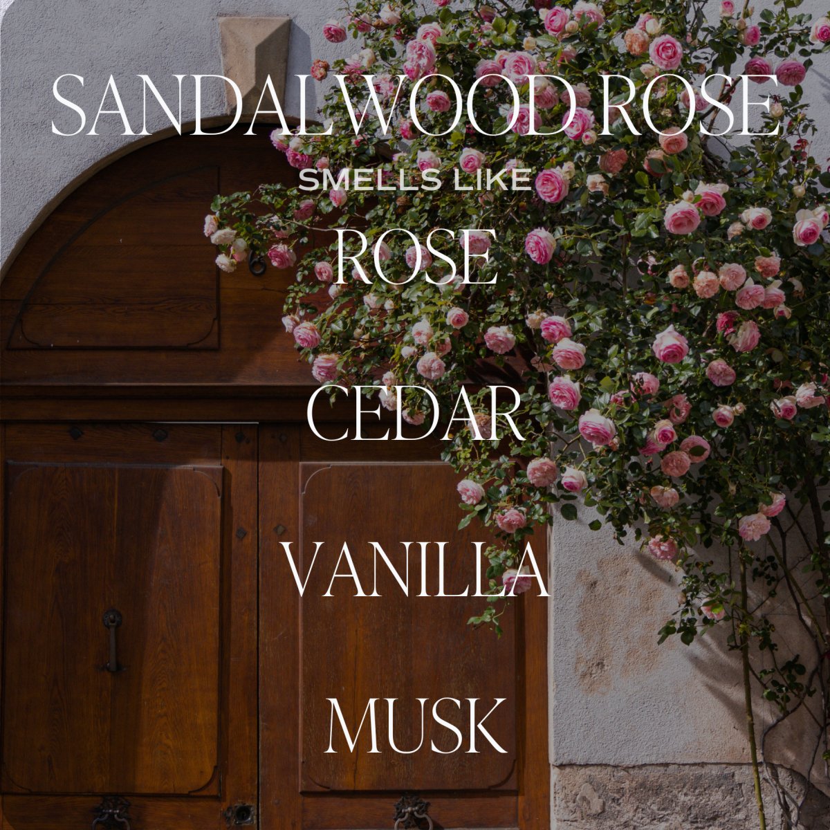 Sweet Water Decor Sandalwood Rose Soy Candle - White Jar - 11 oz - lily & onyx
