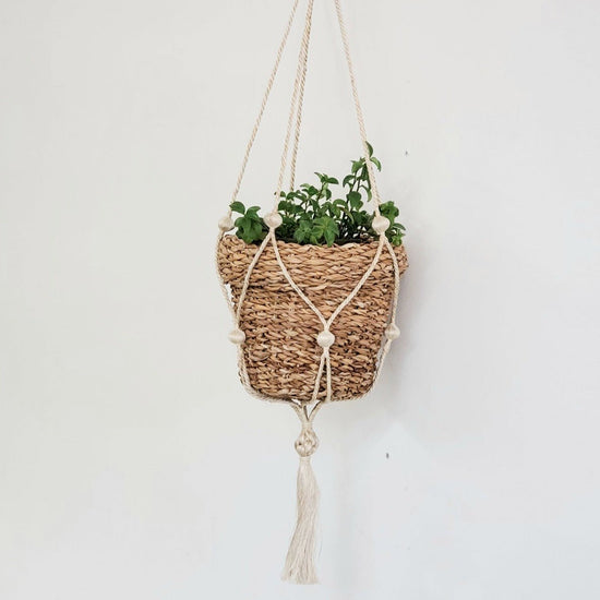KORISSA Savar Nesting Plant Basket - lily & onyx