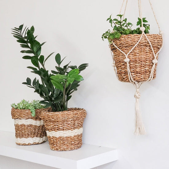 KORISSA Savar Nesting Plant Basket - lily & onyx