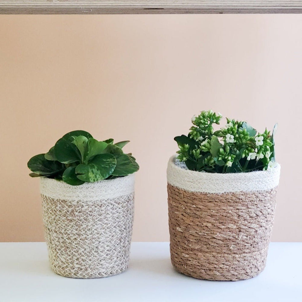 
                      
                        KORISSA Savar Plant Basket - lily & onyx
                      
                    