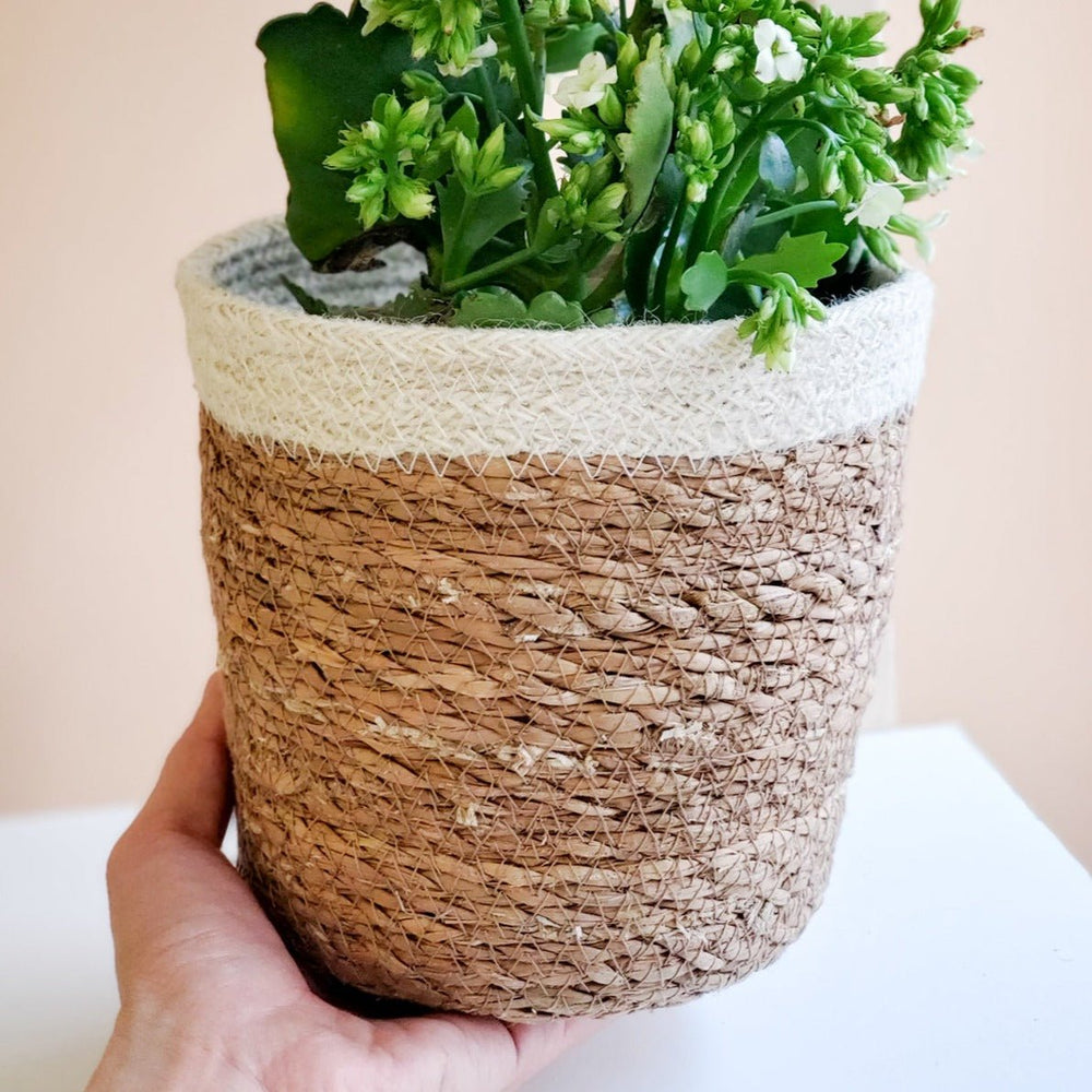 
                      
                        KORISSA Savar Plant Basket - lily & onyx
                      
                    