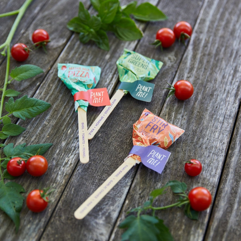 
                      
                        Modern Sprout Seed Lollipop - Culinary - lily & onyx
                      
                    