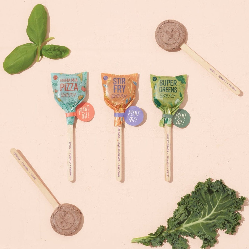 Modern Sprout Seed Lollipop - Culinary - lily & onyx