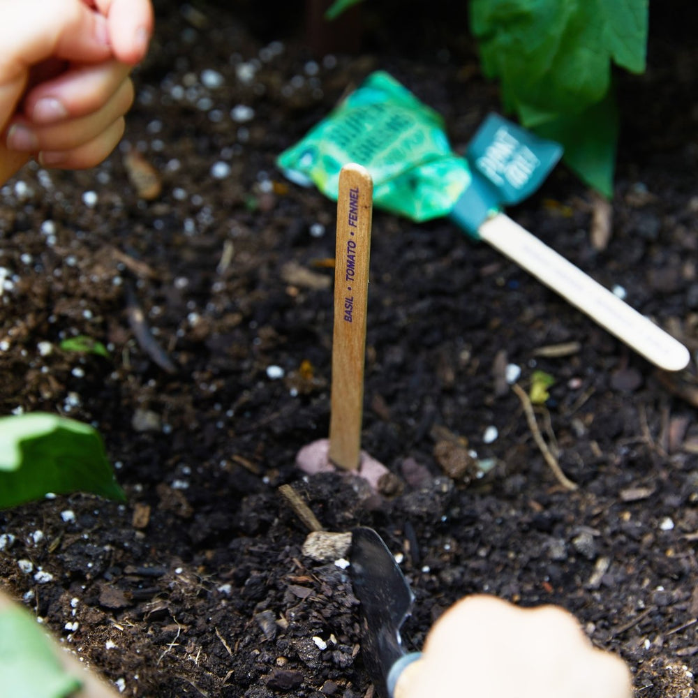 
                      
                        Modern Sprout Seed Lollipop - Culinary - lily & onyx
                      
                    