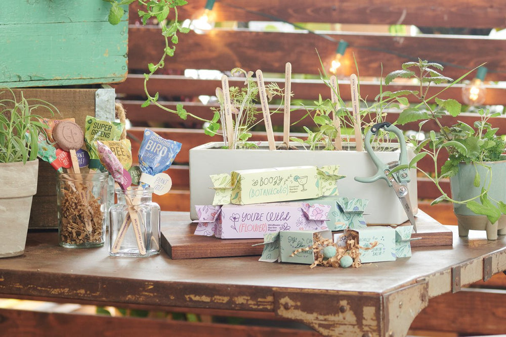 
                      
                        Modern Sprout Seed Lollipop - Pollinator - lily & onyx
                      
                    