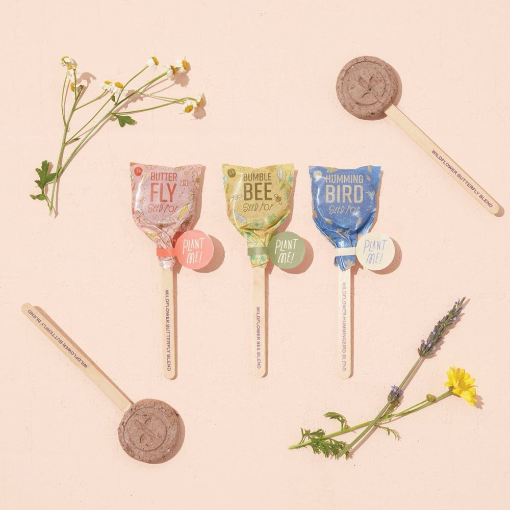 
                      
                        Modern Sprout Seed Lollipop - Pollinator - lily & onyx
                      
                    