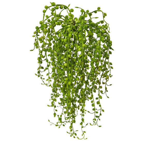 Nearly Natural Senecio Artificial Succulent, Set Of 3 - lily & onyx