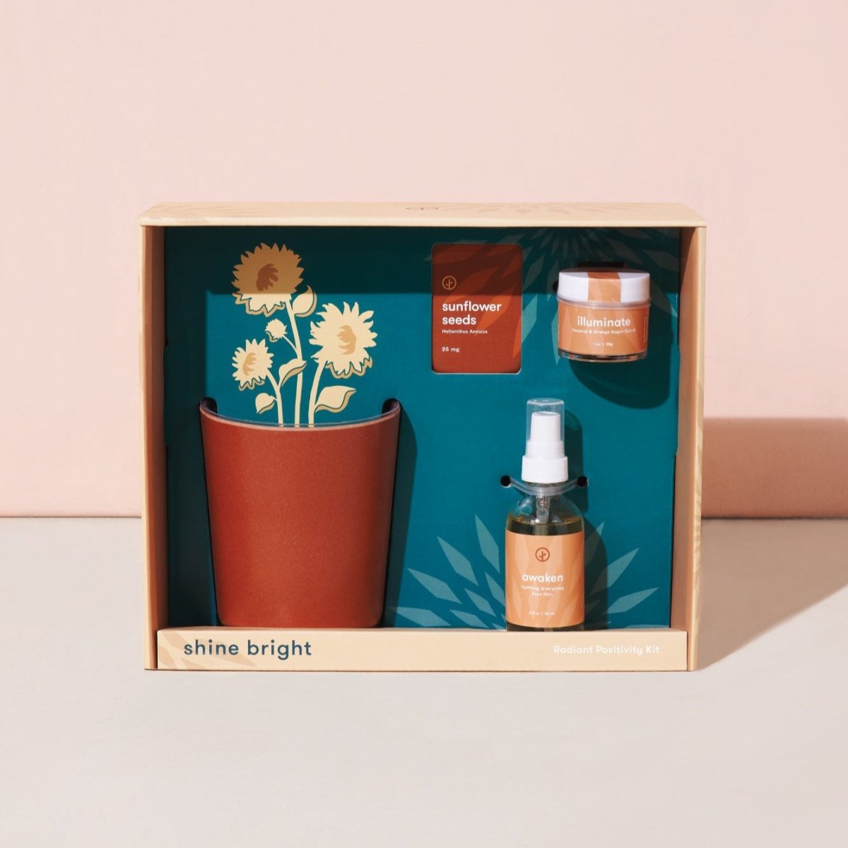 Modern Sprout Shine Bright - Radiant Positivity Kit - lily & onyx