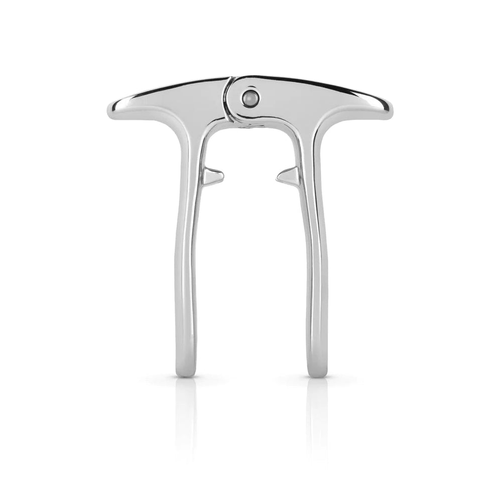 
                      
                        Viski Silver Champagne Puller - lily & onyx
                      
                    