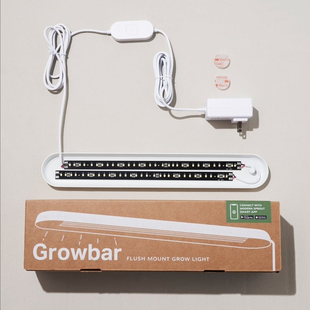 
                      
                        Modern Sprout Smart Growbar - lily & onyx
                      
                    