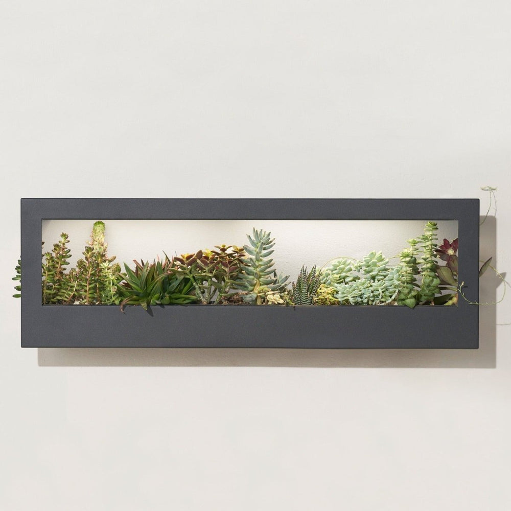 
                      
                        Modern Sprout Smart Landscape Growframe - lily & onyx
                      
                    