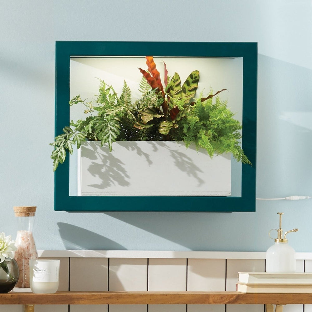 Modern Sprout Smart Standard Growframe - lily & onyx