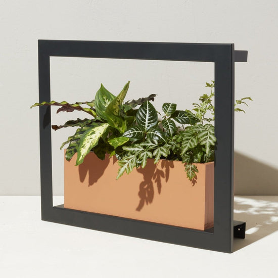 Modern Sprout Smart Standard Growframe - lily & onyx