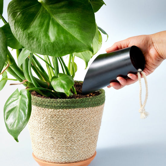 Modern Sprout Soil Scoop - lily & onyx