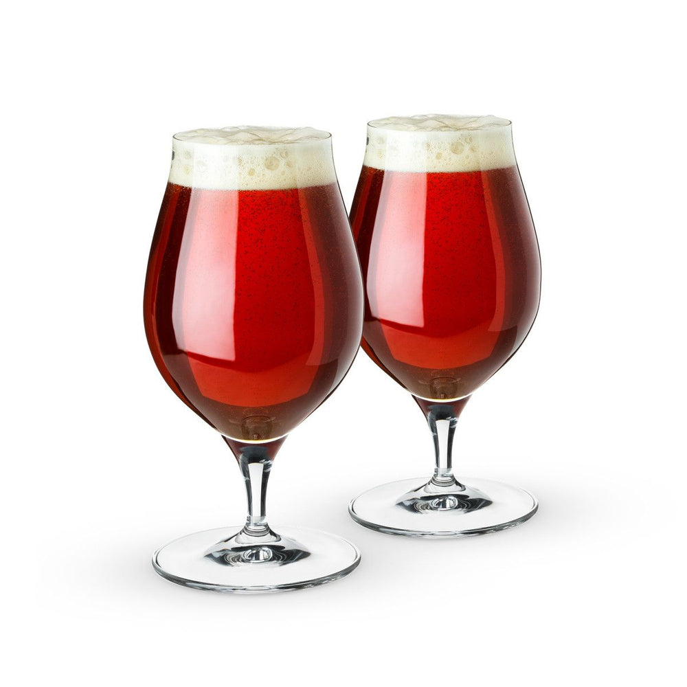 Spiegelau Spiegelau Barrel Aged Glass, 17.7 oz - lily & onyx