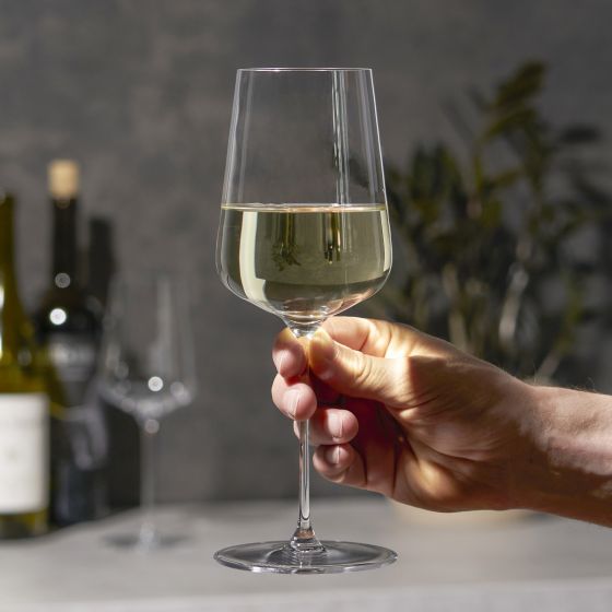 https://lilyandonyx.com/cdn/shop/products/spiegelau-definition-white-wine-glass-152-oz-set-of-2-198289_1024x.jpg?v=1683013222