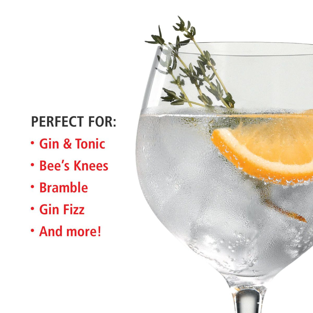 
                      
                        Spiegelau Spiegelau Gin and Tonic Glass, 21 oz, Set of 4 - lily & onyx
                      
                    