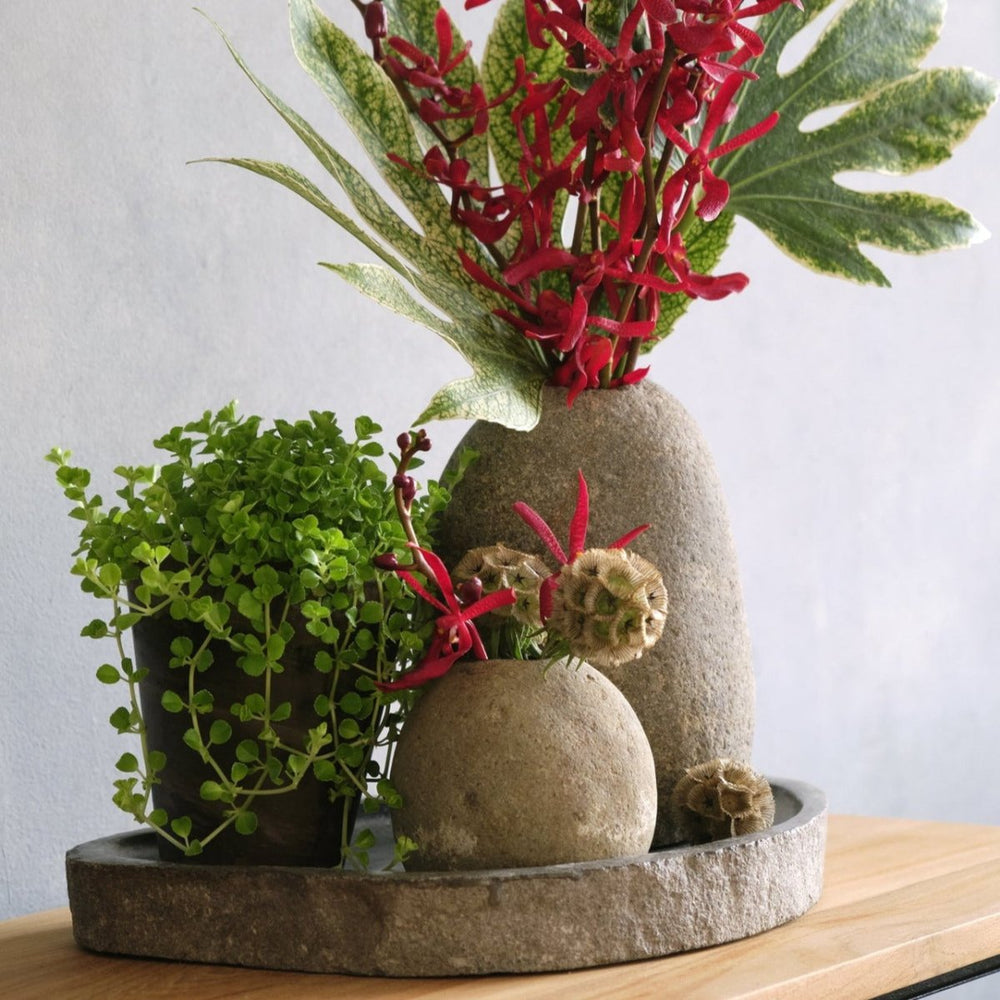 
                      
                        texxture Stoneshard™ Vase - lily & onyx
                      
                    