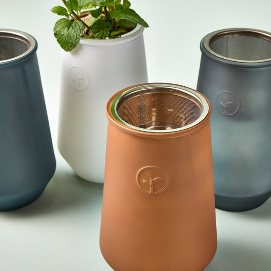 Modern Sprout Tapered Tumbler Grow Kits - lily & onyx