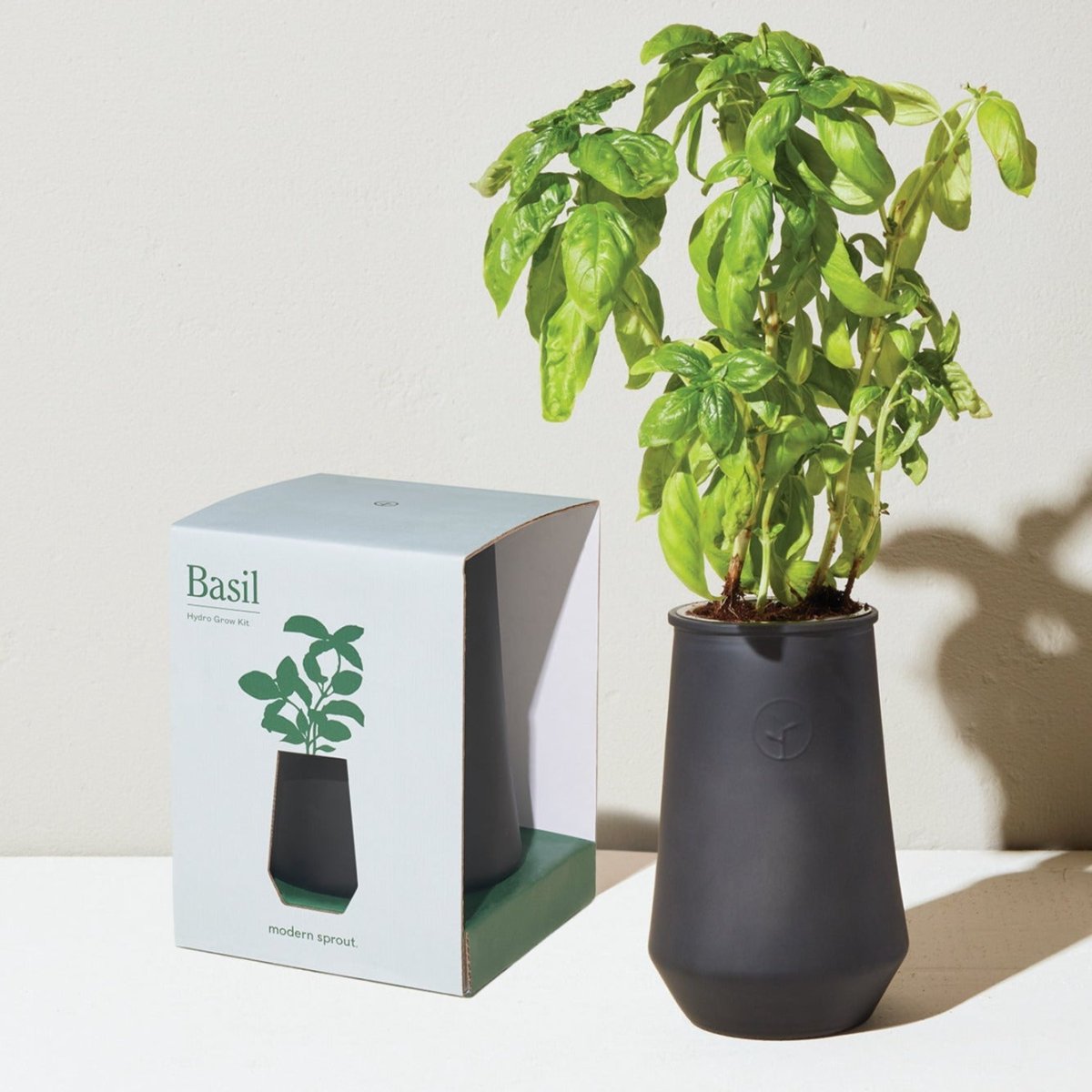 Modern Sprout Tapered Tumbler Grow Kits - lily & onyx