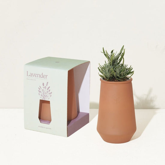 Modern Sprout Tapered Tumbler Grow Kits - lily & onyx