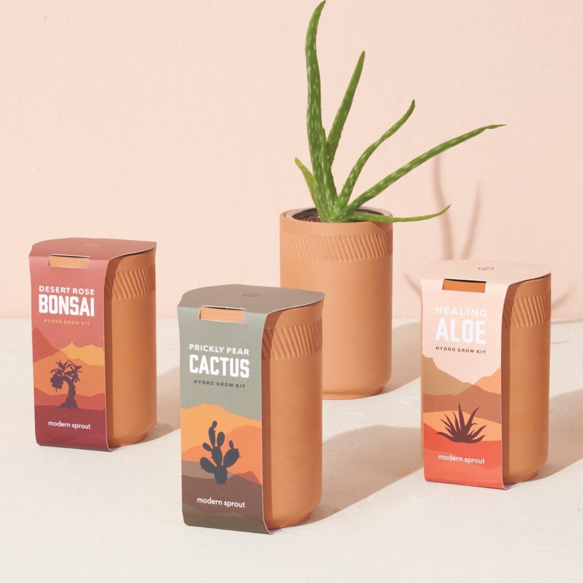 Modern Sprout Terracotta Grow Kits - lily & onyx
