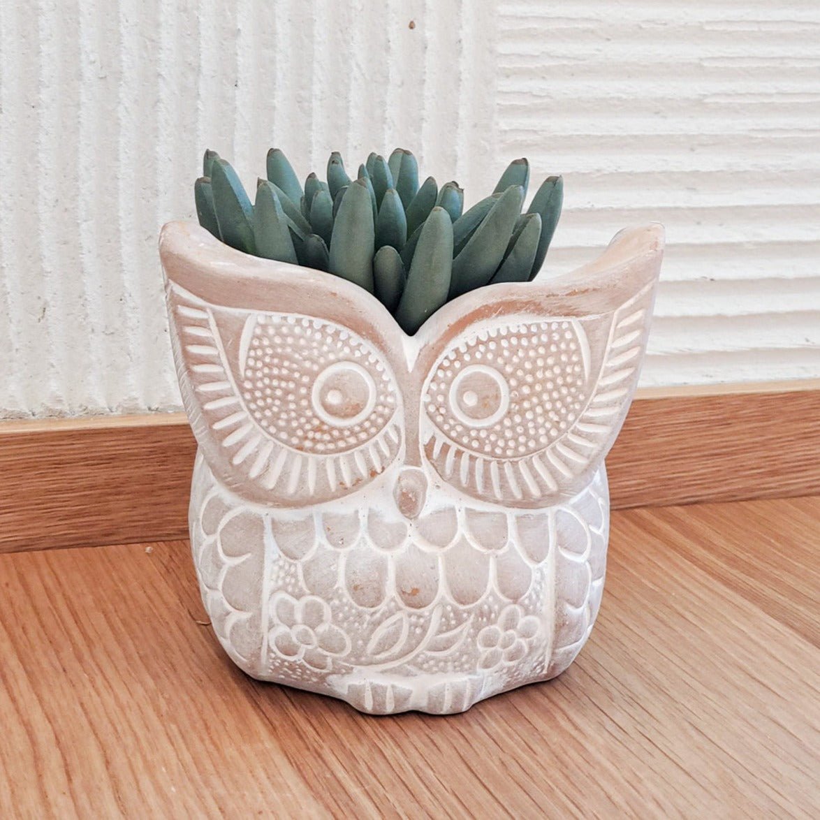 KORISSA Terracotta Pot - Big Eye Owl - lily & onyx