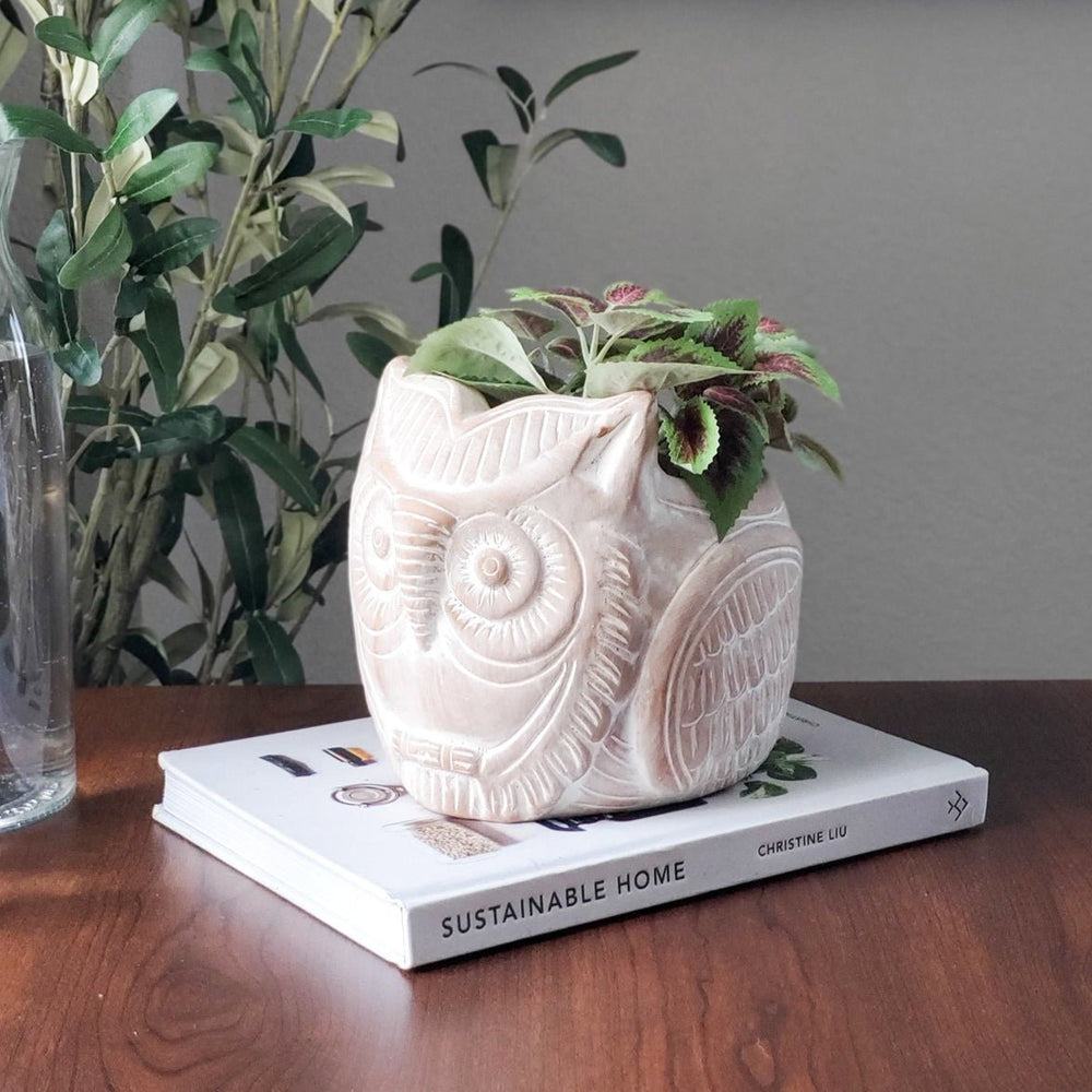 KORISSA Terracotta Pot - Horned Owl - lily & onyx