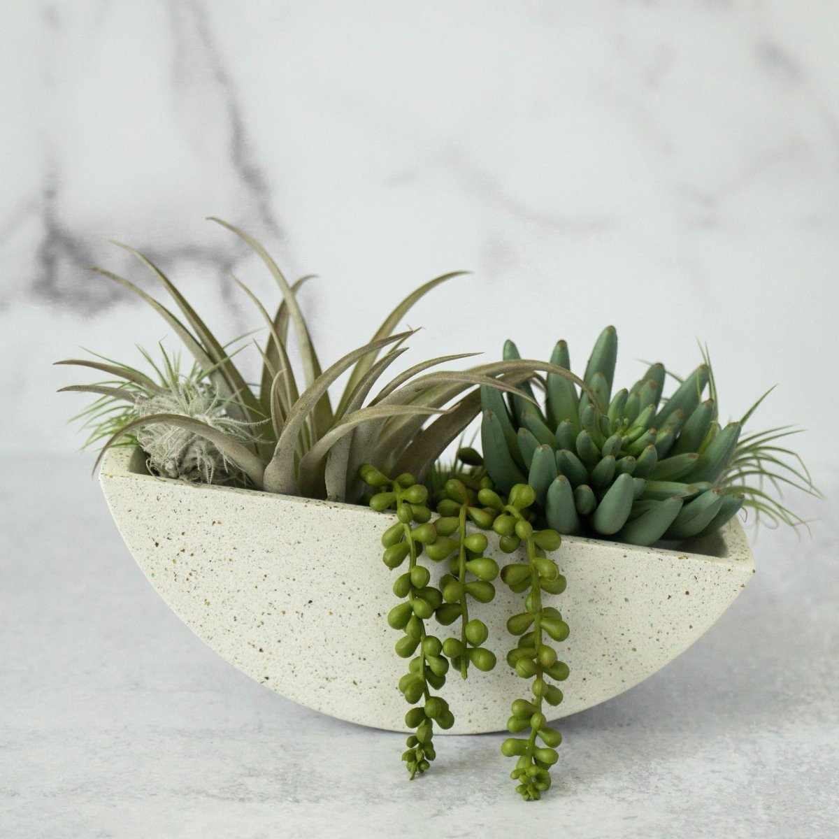 Load image into Gallery viewer, pretti.cool Terrazzo Totter Planter, 9.5 Inch - lily &amp;amp; onyx
