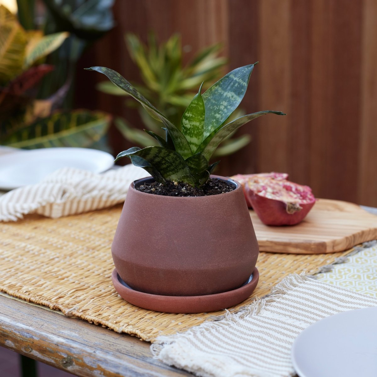 REVIVAL Ceramics The Rancho Planter, 5 Inch - lily & onyx