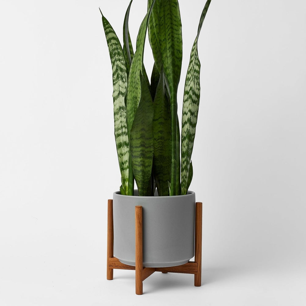 
                      
                        REVIVAL Ceramics The Six - Ceramic Cylinder with Stand - lily & onyx
                      
                    