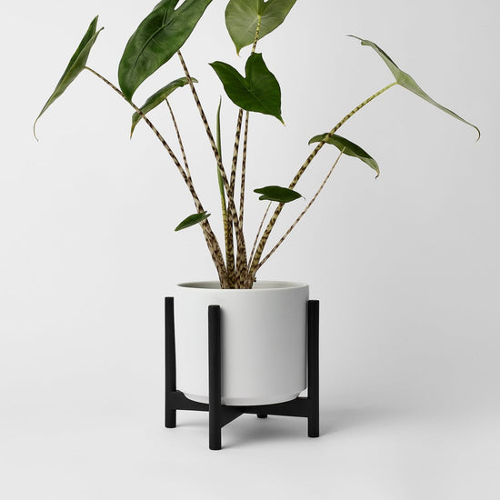 REVIVAL Ceramics The Six - Ceramic Cylinder with Stand - lily & onyx