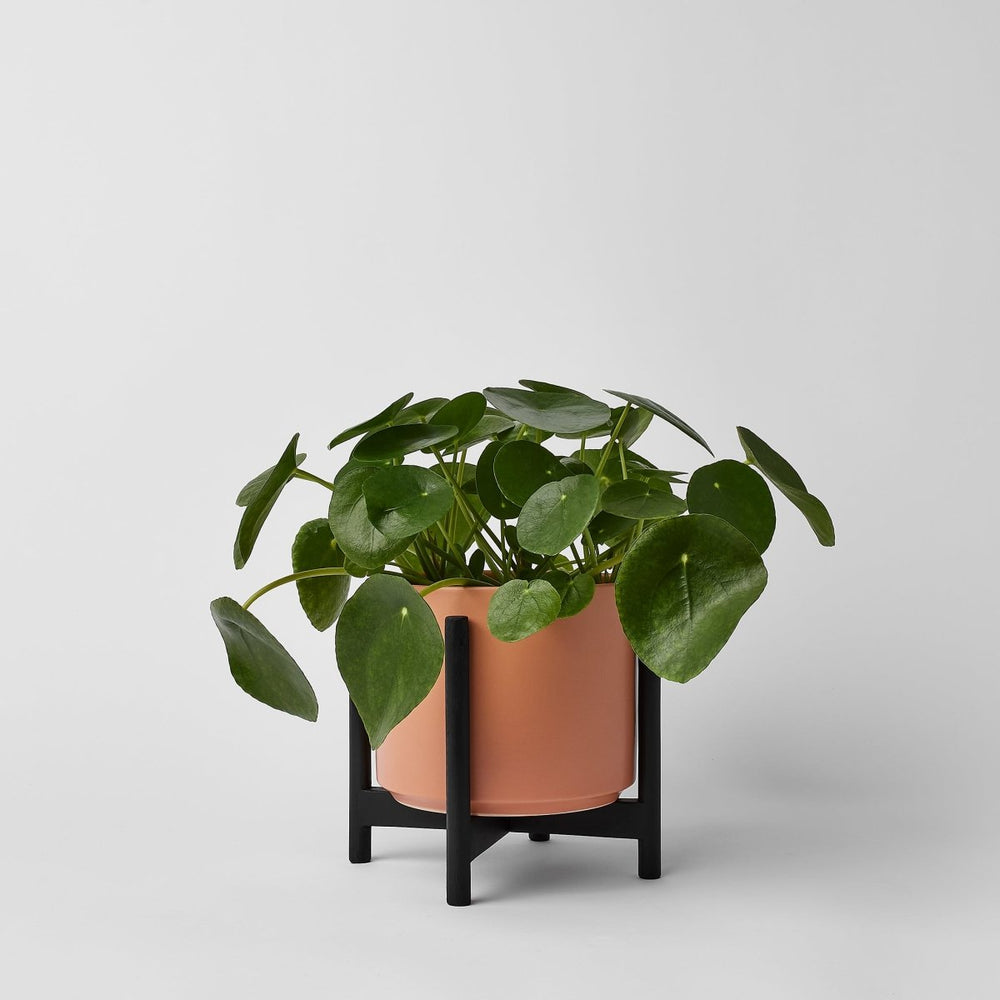 
                      
                        REVIVAL Ceramics The Six - Ceramic Cylinder with Stand - lily & onyx
                      
                    