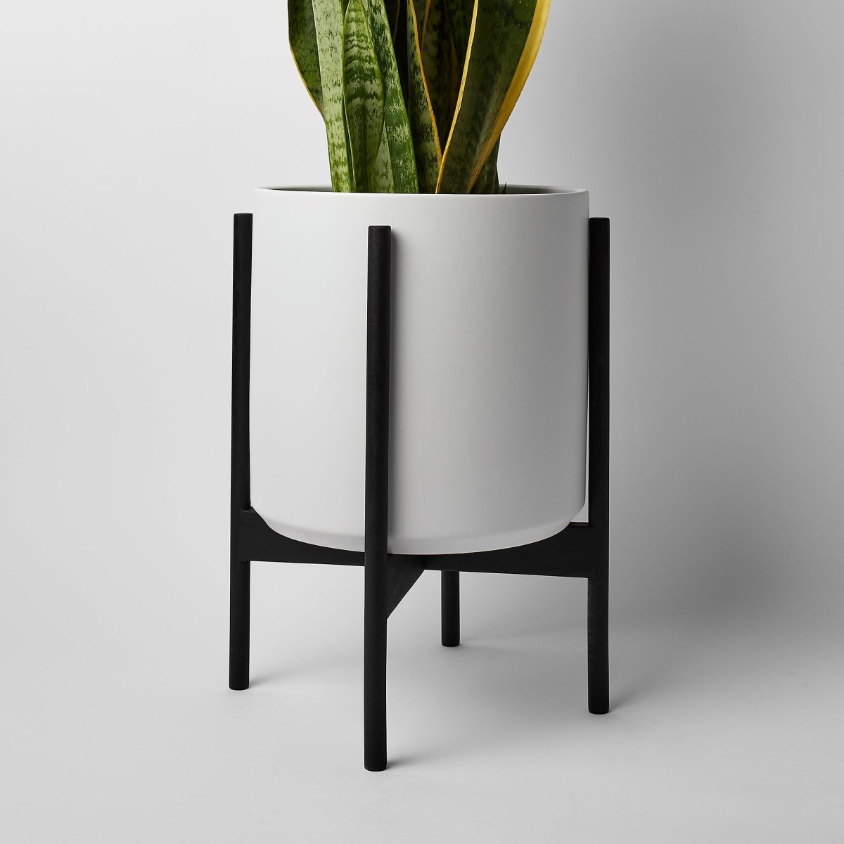 REVIVAL Ceramics The Twelve - Ceramic Cylinder with Stand - lily & onyx