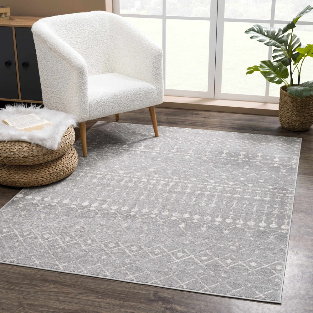 Hauteloom Tigrican Light Gray 2334 Area Rug - lily & onyx