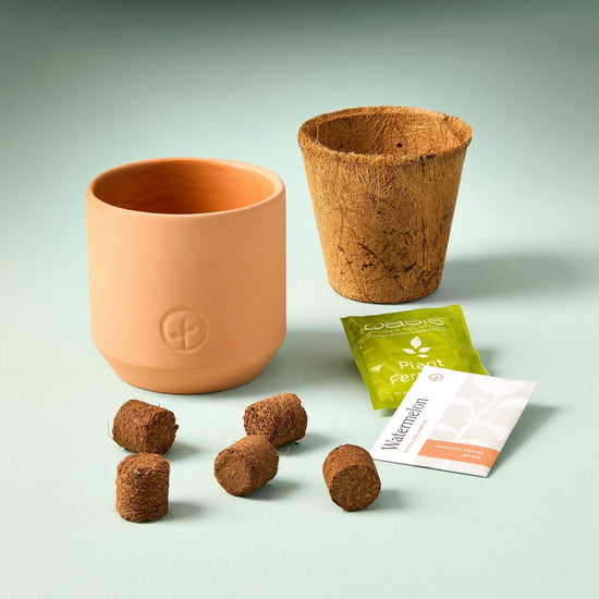 Load image into Gallery viewer, Modern Sprout Tiny Terracotta Garden Kits - lily &amp;amp; onyx
