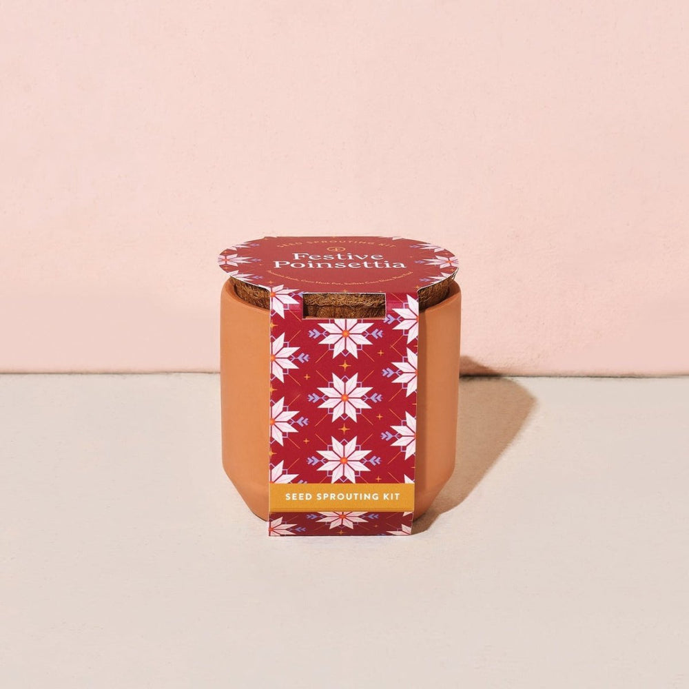 
                      
                        Modern Sprout Tiny Terracotta Holiday Pots - lily & onyx
                      
                    