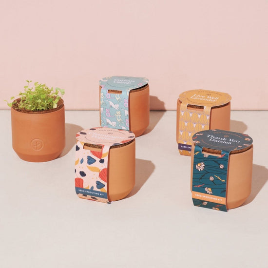 Modern Sprout Tiny Terracotta Pots - lily & onyx