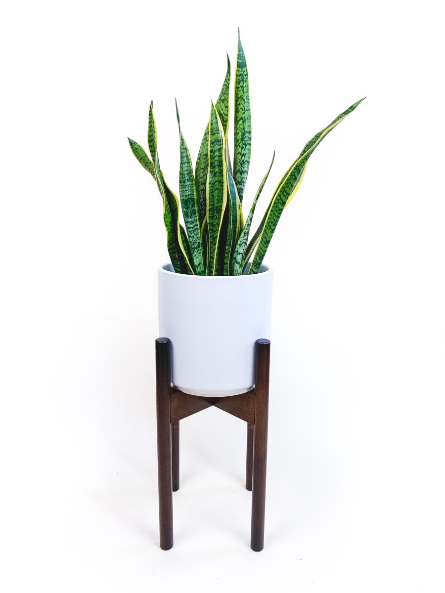 declutterd Top Level Adjustable Bamboo Plant Stand, 8"-12" - lily & onyx