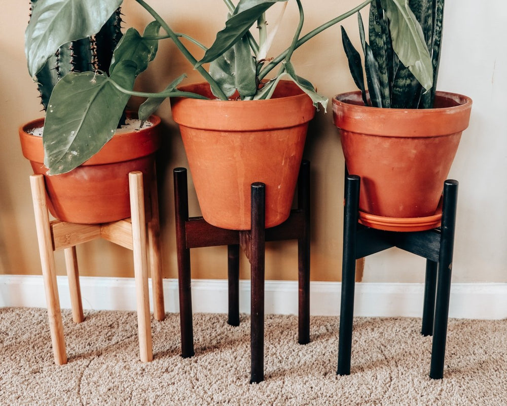 
                      
                        declutterd Top Level Adjustable Bamboo Plant Stand, 8"-12" - lily & onyx
                      
                    
