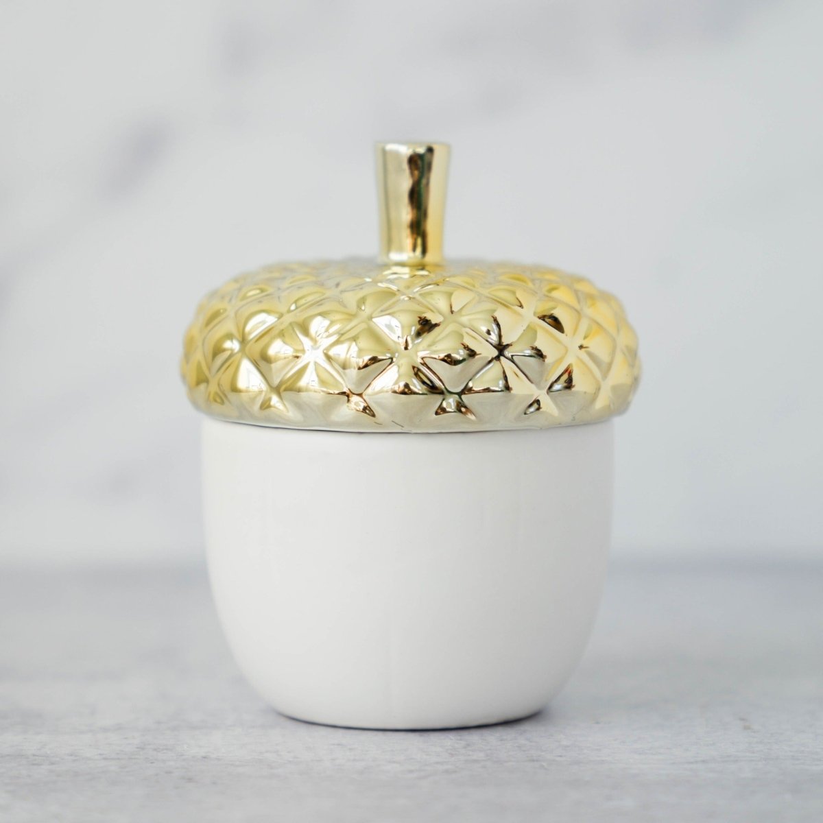 ILLUME Tried & True Velvet Acorn Ceramic Candle | Tonka Bean, Sandalwood & Amber - lily & onyx